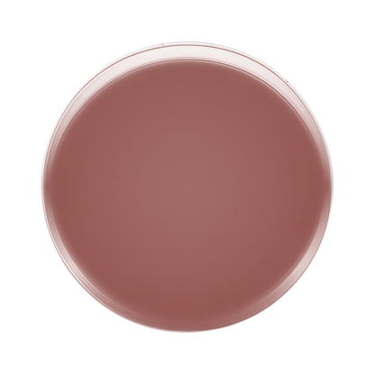 Anfisa ÂN-GLOSS Ceramide Lip Treatment 15ml